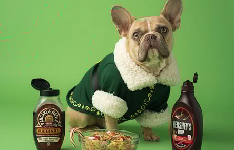 Mag een hond stroop eten?