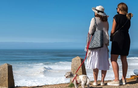 Mag mijn hond mee op vakantie naar Portugal?