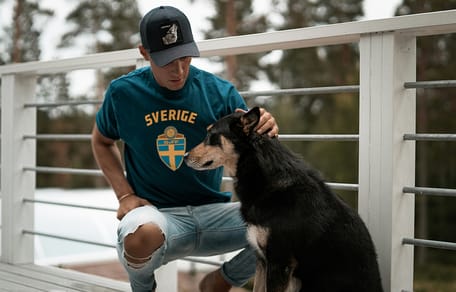 mag mijn hond mee op vakantie naar Zweden?