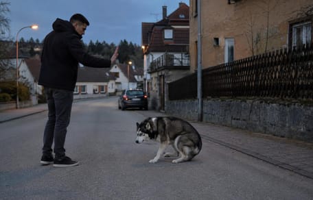 Herrchen schlägt völlig herzlos auf Hund ein – dann nimmt das Ganze eine unerwartete Wendung