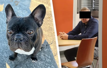 Mann beißt Hund Carlos