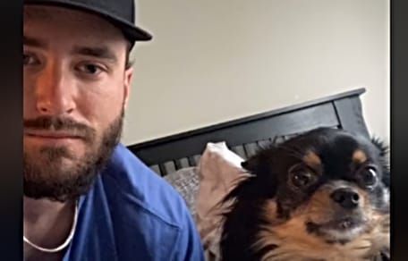 Mann liegt neben Chihuahua im Bett