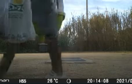 Mężczyzna porzuca koty