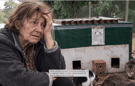 Ha 73 anni, vive con 750 euro al mese e sfama 16 gatti: il suo appello commuove un’intera città