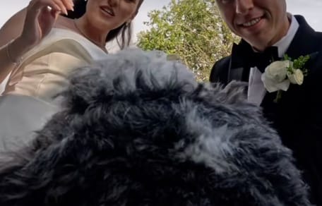 Mariage et chien