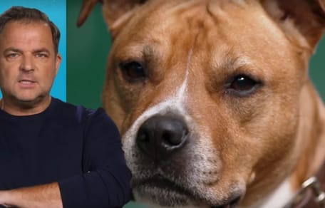 Martin Rütter und Geronimo