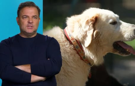 Martin Rütter und Herdenschutzhund Willi