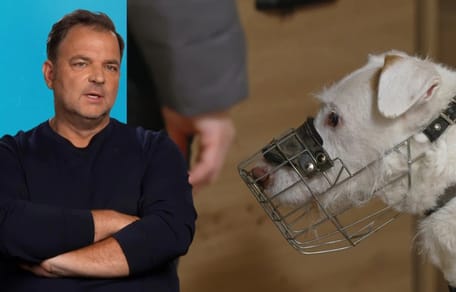 Martin Rütter und Hund Elvis