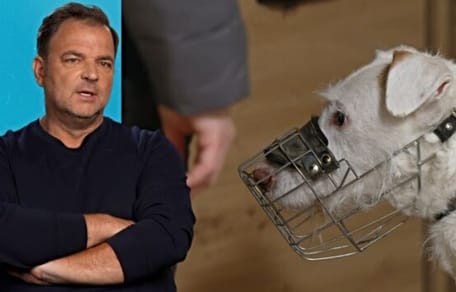 Martin Rütter und Tierheimhund Elvis