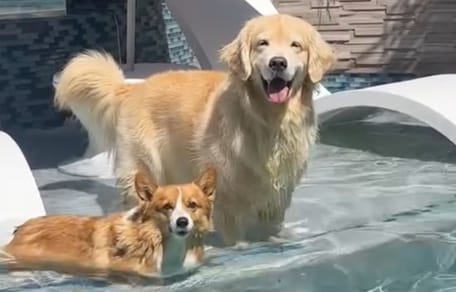 Maui et Ruby