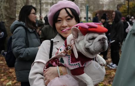 meer dan 150 ex-asielhonden doen mee aan optocht door Londen