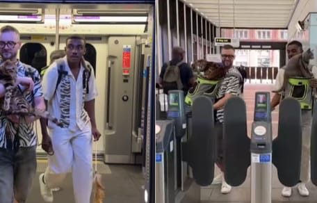 Men carrying cats out of tube and through barriers