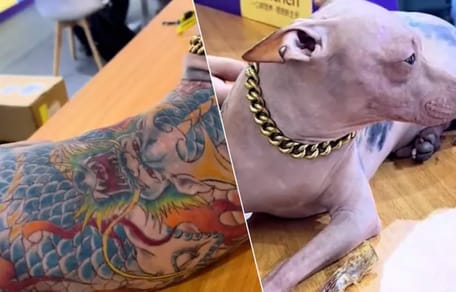 Mexicaanse naakthond vol met tattoo's zorgt voor veel ophef en woede
