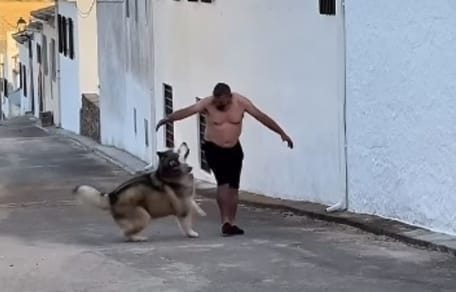 mi-padre-jugando-con-el-perro-que-no-queria-namek-malamute