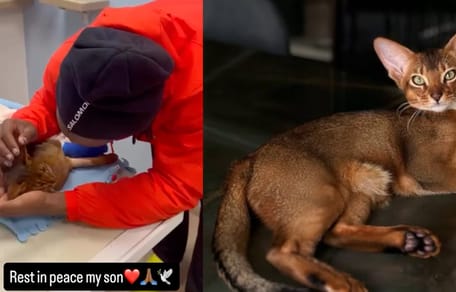 Michy Batshuayi's kat is helaas overleden