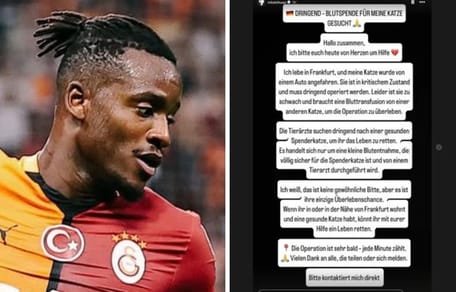 Michy Batshuayi zittert um seine Katze