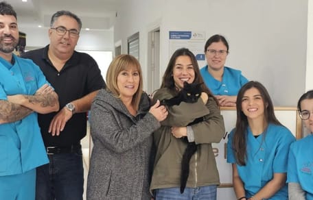 milagro-navidad-gato-regresa-casa-tenerife