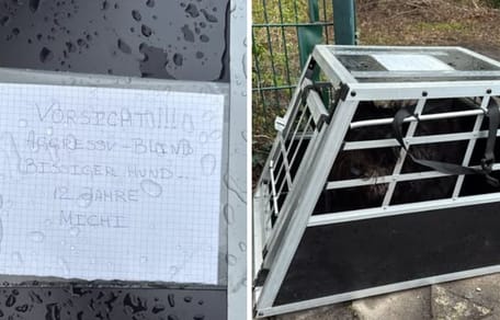 Milos Käfig und der Brief