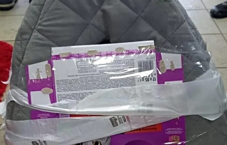 Mit Klebeband verschlossene Katzenhöhle