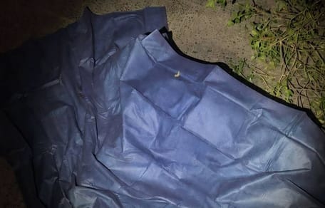 Mit Plane abgedeckter Hund