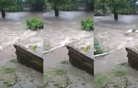 Montage van de redding van een hond uit de rivier in Panama