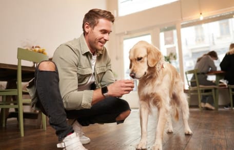 muestras-gratuitas-Purina-Adventuros-perros-bares-madrid-barcelona
