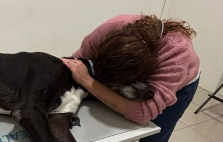 mujer-abraza-perro-fallecido