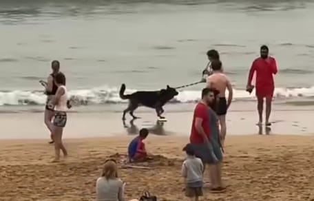 mujer-detenida-perro-playa-gijon