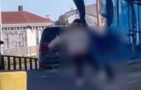 mujer-maltrata-perro-santiago-compostela-galicia