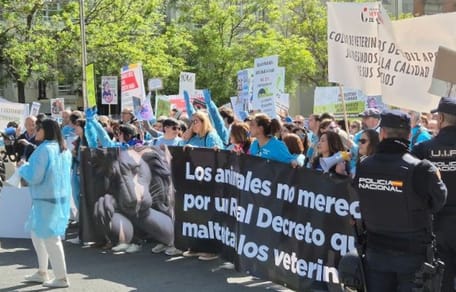 Veterinaria: una profesión con mayoría de mujeres… pero aún lejos de los puestos de poder