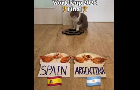 mundial argentina españa