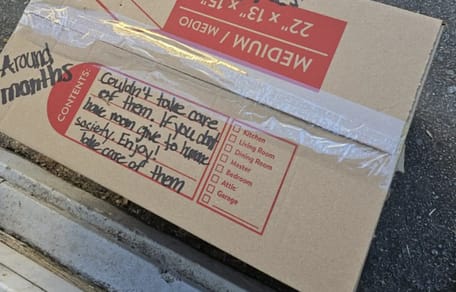 Mysteriöser Karton vor dem Tierheim