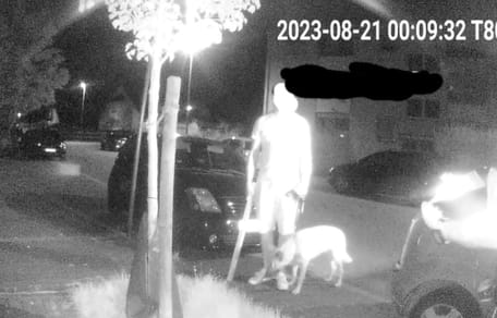 Photo de nuit d'un propriétaire de chien et de deux policiers