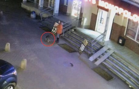 nagranie z monitoringu