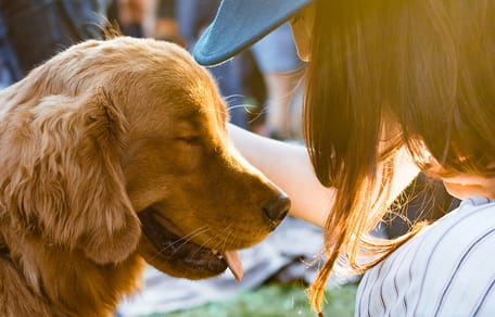 namen voor een adoptiehond