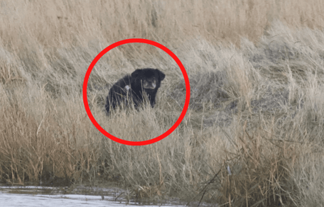 Parc naturel de la mer des Wadden.