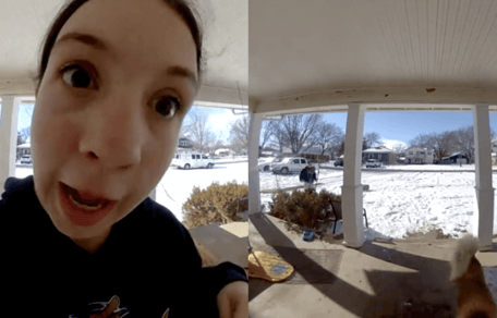 Neighbour through ring doorbell looking for dog