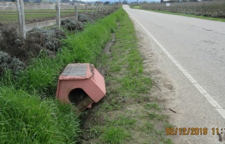 cuccia rosa strada