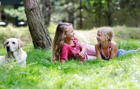 Nieuwe vakantiewoningen Centerparks speciaal voor de hond