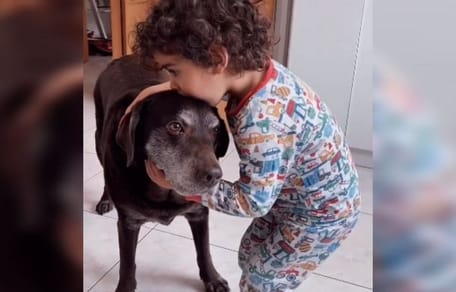 niño besa perro