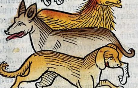 nombres-medievales-para-perros