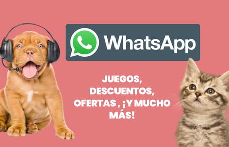 Ofertas mascotas