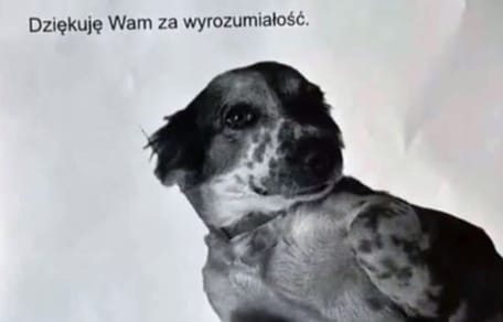 Ogłoszenie dla sąsiadów o psie z lękiem separacyjnym