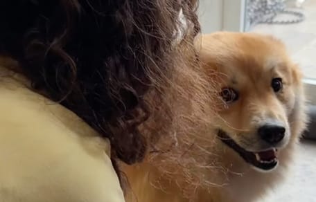 Olympe et sa Dog Routine