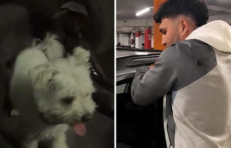 omar-montes-arranca-puerta-coche-rescata-perro-encerrado