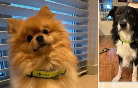 Oplichters grijpen winactie van politie aan om mensen op te lichten