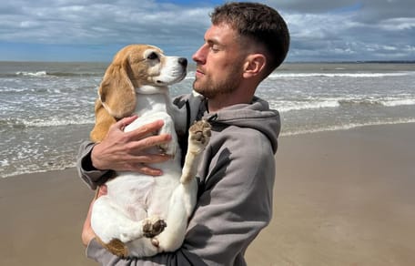 Oud-Arsenal ster wanhoop nabij nadat hond Halo spoorloos is