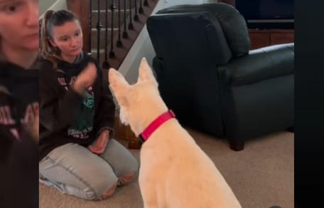Owner communicating with deaf dog
