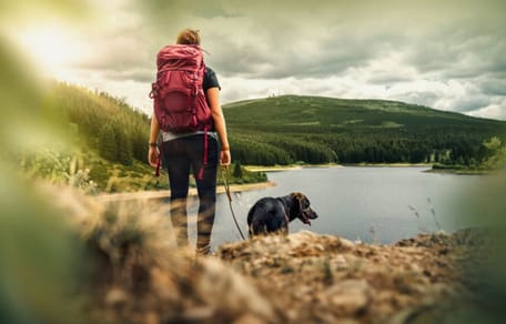 Pantanos cerca de Madrid para ir con perros