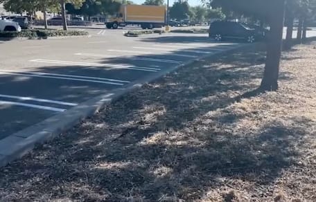 Supermarket car park